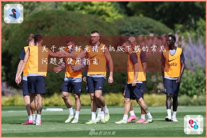 关于世界杯竞猜手机版下载的常见问题及使用指南
