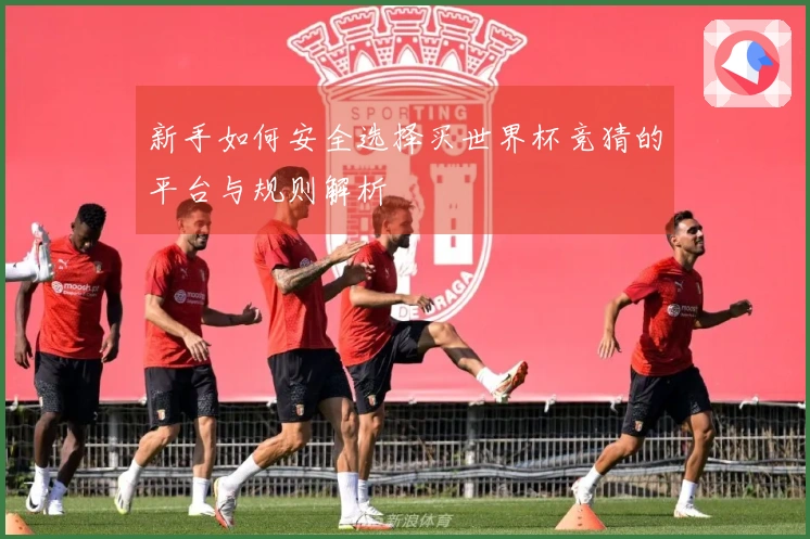 新手如何安全选择买世界杯竞猜的平台与规则解析