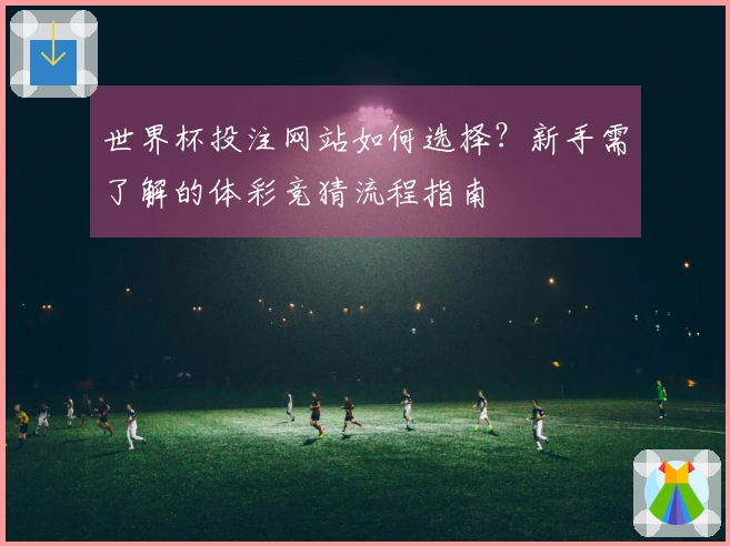 世界杯投注网站如何选择？新手需了解的体彩竞猜流程指南