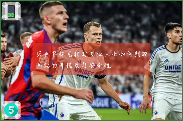 买世界杯竞猜时专业人士如何判断网站的可信度与安全性