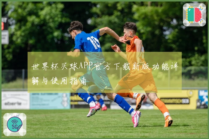 世界杯买球APP官方下载新版功能详解与使用指南