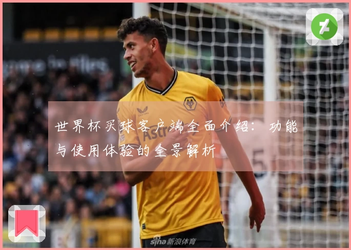 世界杯买球客户端全面介绍：功能与使用体验的全景解析
