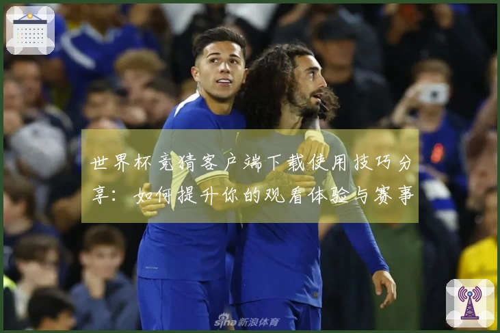 世界杯竞猜客户端下载使用技巧分享：如何提升你的观看体验与赛事分析能力