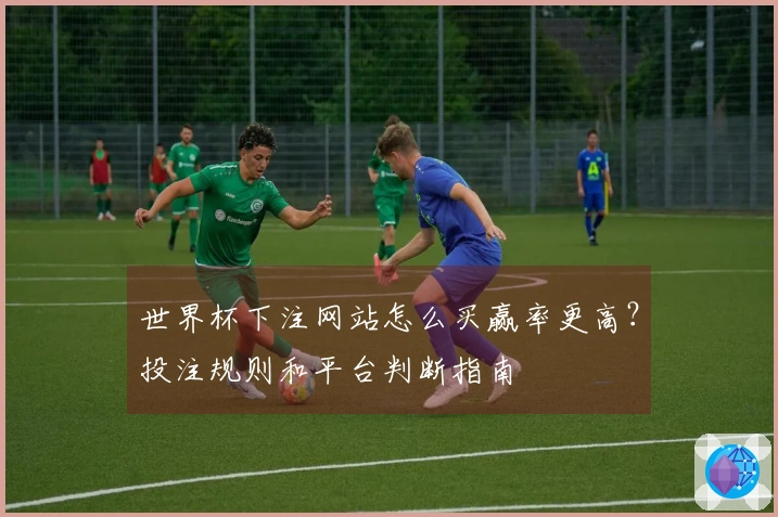 世界杯下注网站怎么买赢率更高？投注规则和平台判断指南