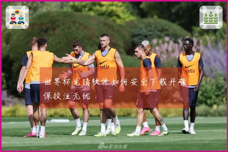 世界杯竞猜软件如何安全下载并确保投注无忧