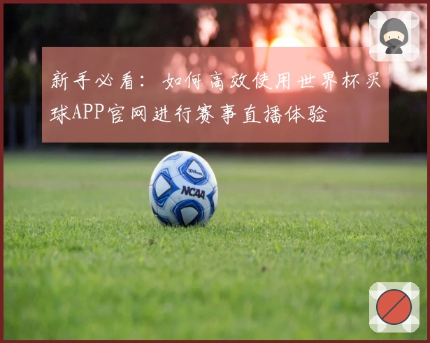新手必看:如何高效使用世界杯买球APP官网进行赛事直播体验