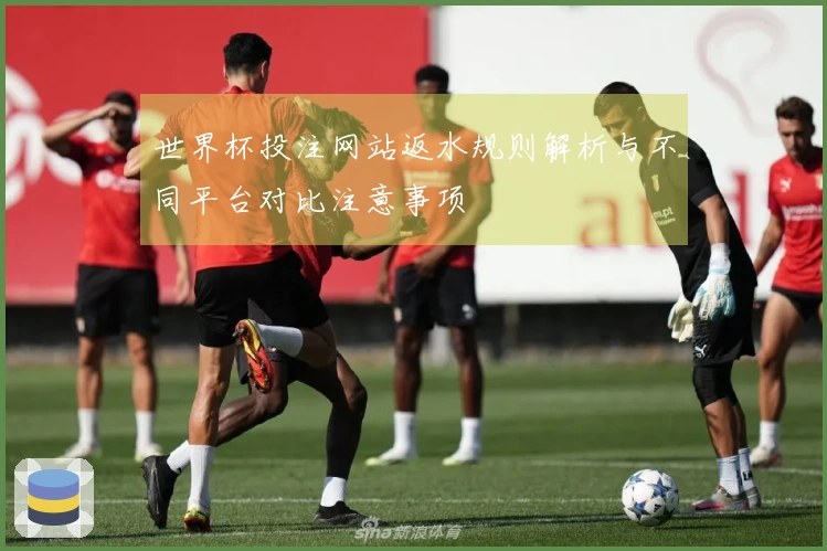世界杯投注网站返水规则解析与不同平台对比注意事项