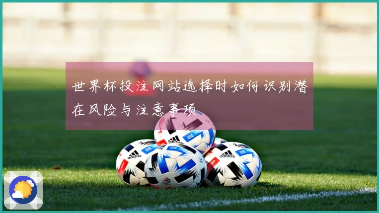 世界杯投注网站选择时如何识别潜在风险与注意事项