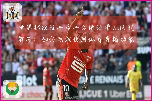 世界杯投注平台平台地址常见问题解答：如何高效使用体育直播功能与平台信息