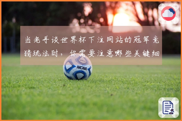 当老手谈世界杯下注网站的冠军竞猜玩法时,你需要注意哪些关键细节?