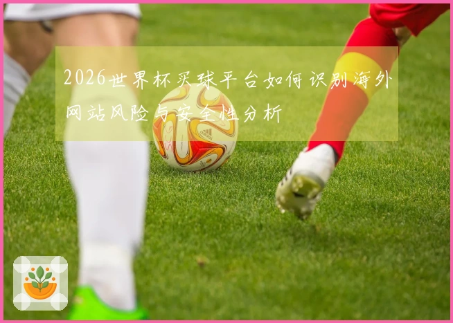 2026世界杯买球平台如何识别海外网站风险与安全性分析