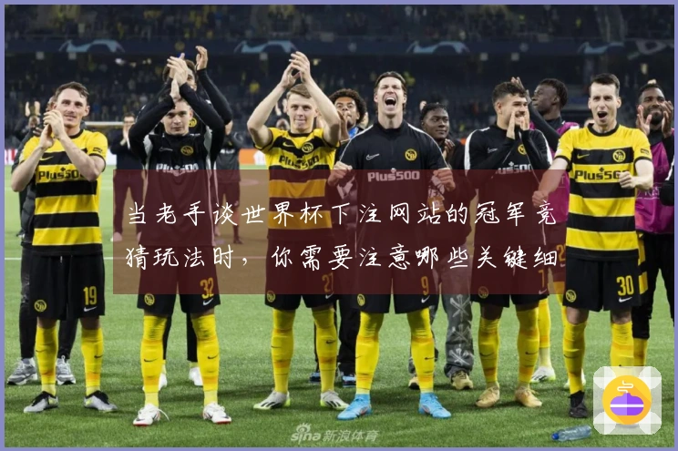当老手谈世界杯下注网站的冠军竞猜玩法时，你需要注意哪些关键细节？