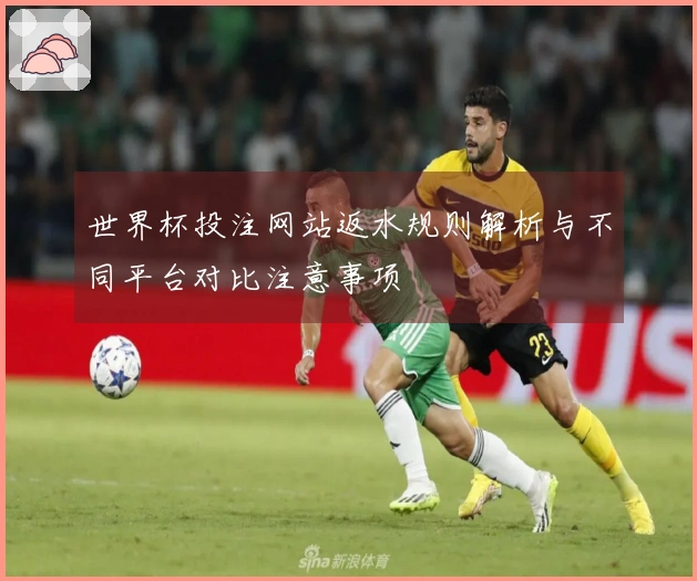 世界杯投注网站返水规则解析与不同平台对比注意事项